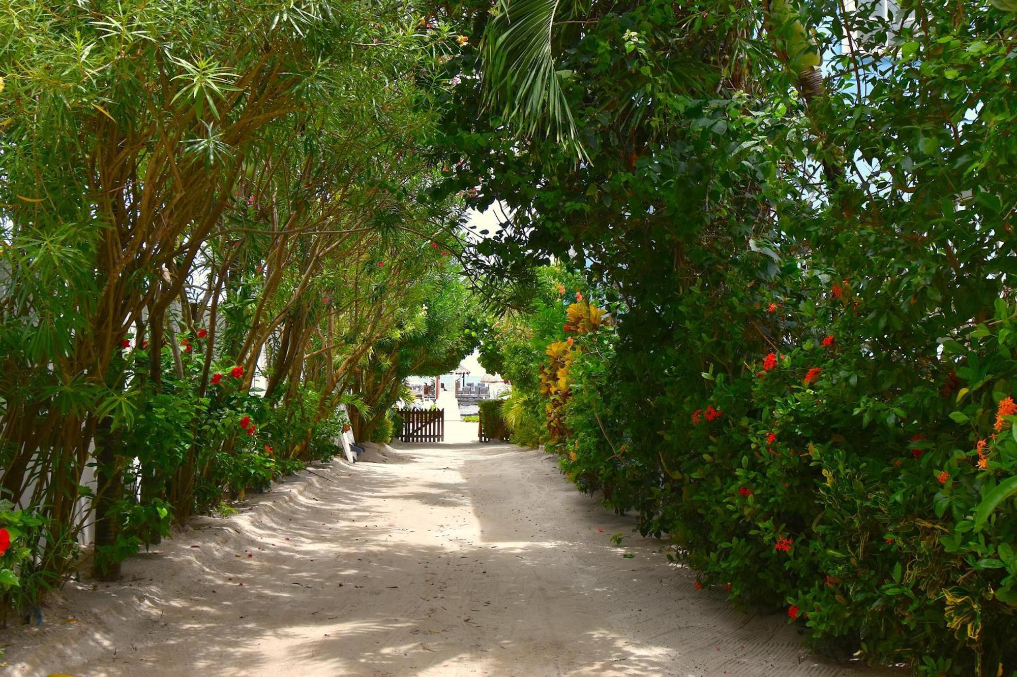 Palmetto Garden Cottage Caye Caulker Exterior photo