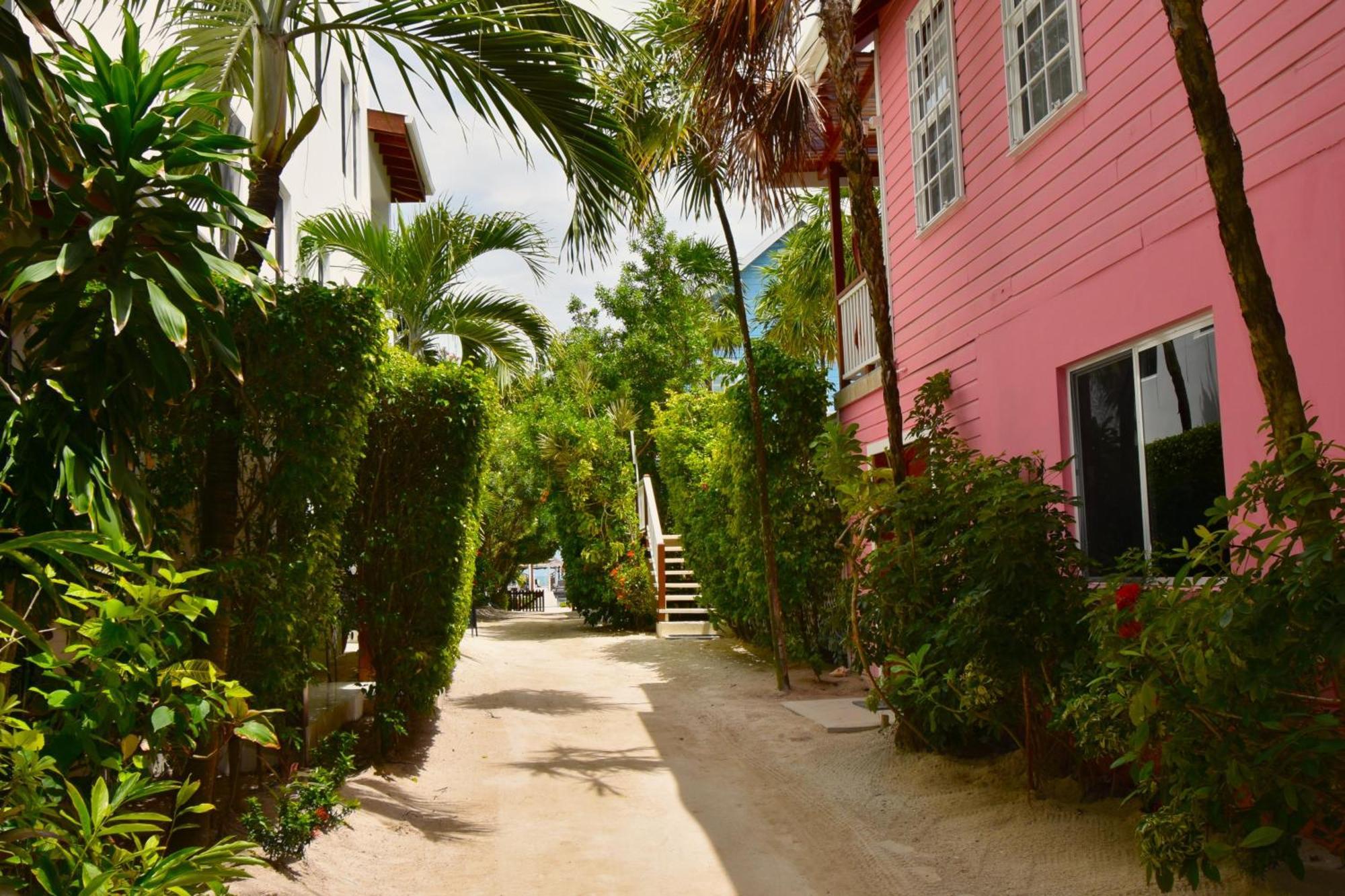 Palmetto Garden Cottage Caye Caulker Exterior photo